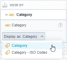 The View by bucket containing a category attribute with the Display as dropdown expanded, showing options to display the attribute as Category or Category ISO Codes.