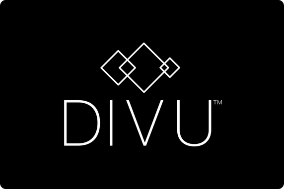 DIVU GmbH