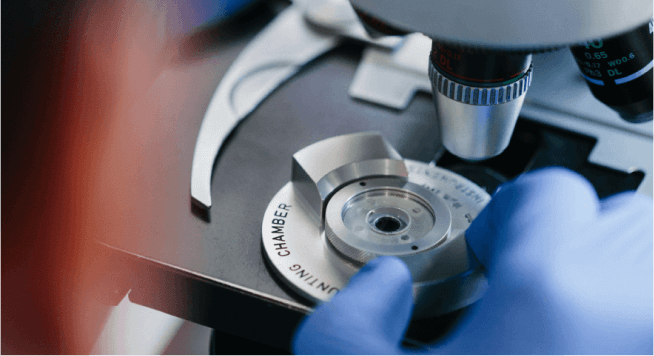 Pharmaceutical & Science