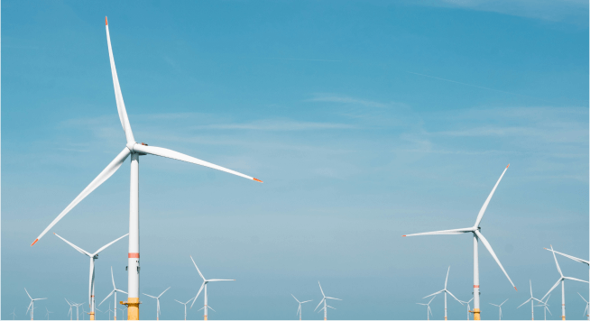 ESG & Sustainability